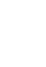 Crowd Risk Analysis
